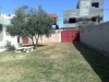 maison s+3