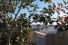 Maison vue sur mer