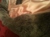 Manteau de Fourrure Lapin A NE PAS RATER (PRIX CHO