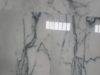 marbre importé lustré Flore Albo 96639639