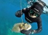 materiel chasse sous marine Cressi Omer Mares