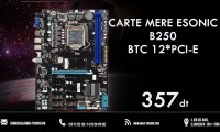 NOUVEL ARRIVAGE CARTE MÈRE B250 ESONIC