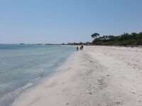 occasion de terrain a Kelibia