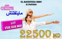 occasion de vente