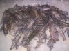 Offre De Crevettes 