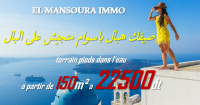 offre de vente des lots a dar alouche kélibia