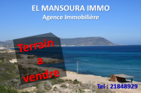 offre de vente un terrain vue sur mer