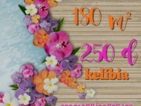 offre speciale chez zina immo profitez 55201288
