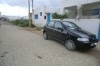 palio noire 