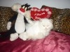 PERSAN BLANC CHATON MALE