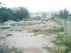 Petit studio et un terrain de 424 m2