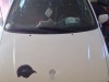 polo 3 essence 