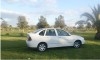 polo3 blanc 