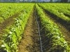 projet agricol interressant a ceder 
