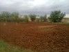 projet agricole + habitation (beja) 66 mille dinar