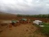 projet agricole + habitation (beja) 66 mille dinar