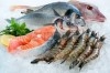 projet import des poissons frais