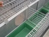 projet lapin