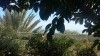 Rare villa Carthage pieds dans l'eau CS-563491