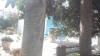Rare villa Carthage pieds dans l'eau CS-563491