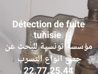 recherche détection tous types de fuite tunisie