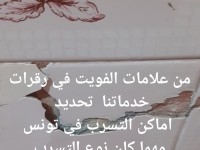 recherche détection tous types de fuite tunisie