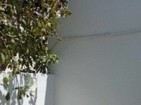 Réf : L986 Appartement Lidia