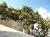RejicheMahdia Vente 2 maisons sur lot 455m2