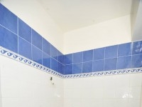 reste 3appartements a vendre