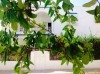 Rez de jardin s3-Derrière stade de la Marsa