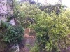 Rez de jardin vide / meublé bardo cité romana