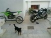 rr 600 modél 2006 