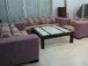 salon moderne + table basse