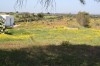 sania de 6 hektarre a vendre