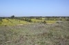 sania de 6 hektarre a vendre