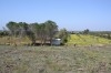 sania de 6 hektarre a vendre