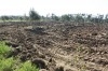 sania de 6 hektarre a vendre
