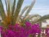 Séjour à Hammamet:appartement luxes et comfortable