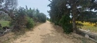 senia à kelibia