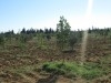 Senya 4 hectare 4000m² avec villa à friguia