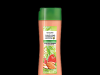 Shampooing ET Après-Shampooing 