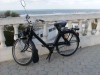 Solex 3800