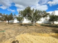 Superbe terrain à vendre à 120 MD 51355351