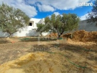 Superbe terrain à vendre à 120 MD 51355351