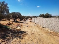 Superbe terrain à vendre à Hammamet Sud 51355351