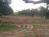 superbe terrain agricole