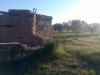 superbe terrain agricole