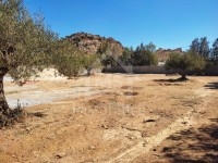 Superbe terrain clôturé à vendre à 80 MD 51355351