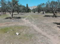 Superbe terrain de 650 m² à vendre à Mrezga 