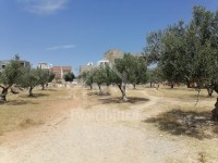 Superbe terrain viabilisé de 1120 m² à vendre 
